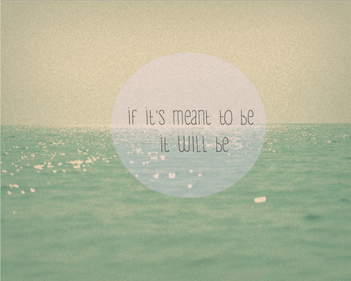 IMG_4014.PNG